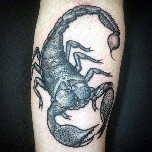 点刺风格的蝎子黑白手臂纹身图案