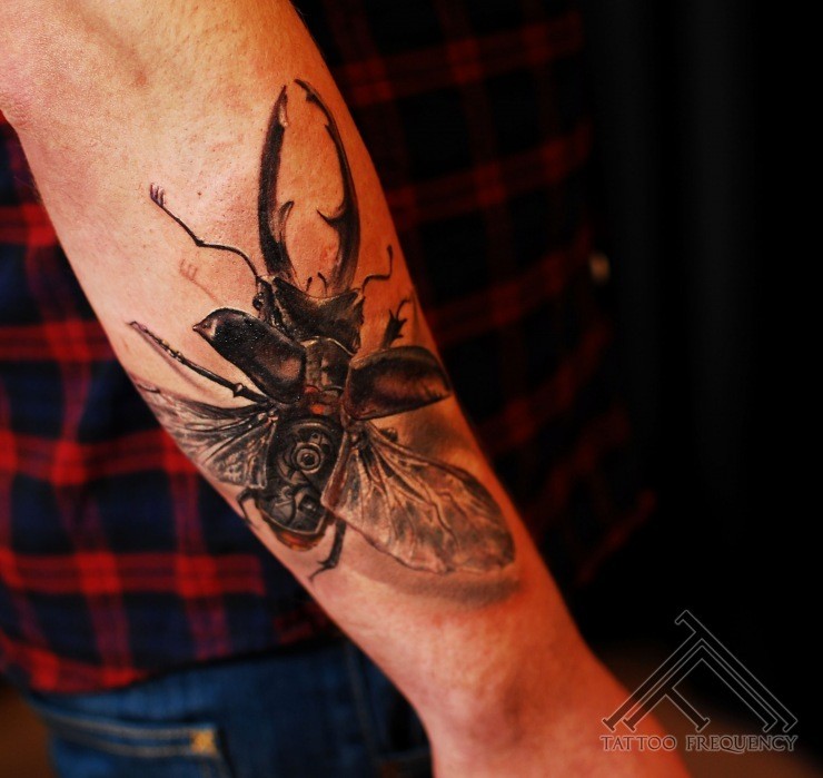 手臂华丽的3D逼真昆虫纹身图案