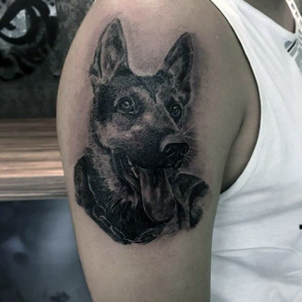 手臂3D写实的德国谢巴德狗纹身图案