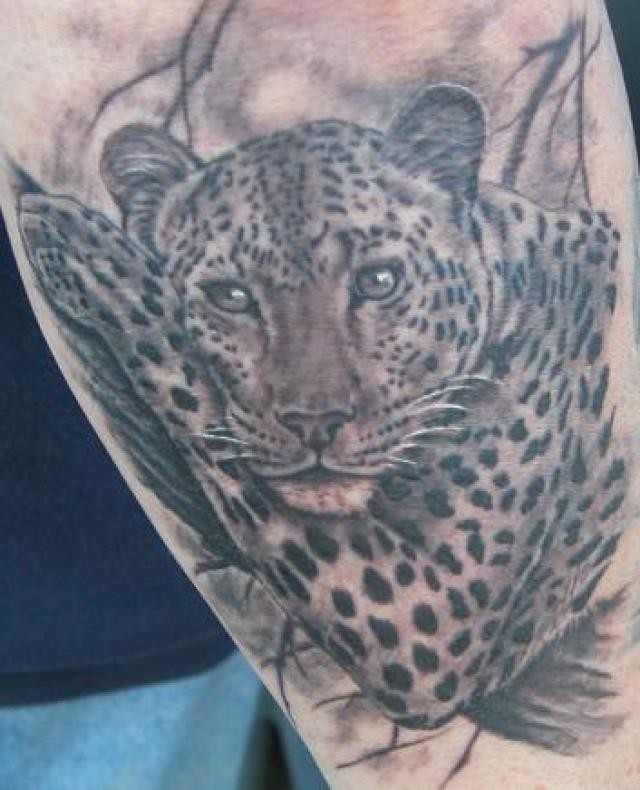 手臂黑灰个性的捷豹纹身图案