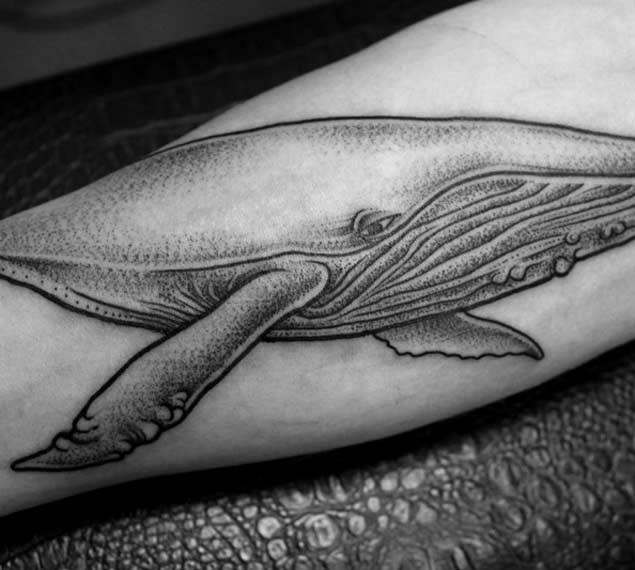 手臂点刺3D风格卡通大鲸鱼纹身图案