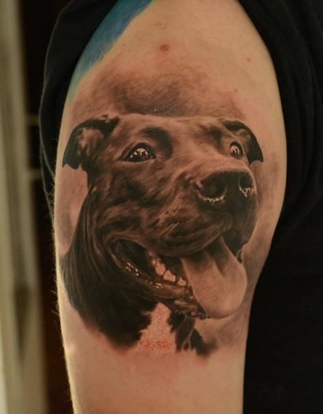 手臂令人难以置信的3D滑稽狗头像纹身图案