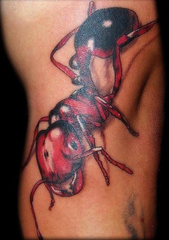 红色的3D蚂蚁纹身图案