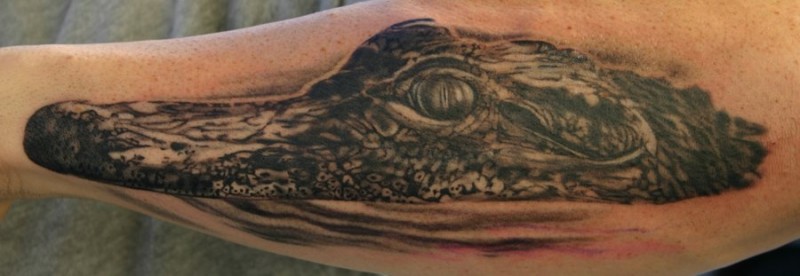 手臂鳄鱼头像纹身图案