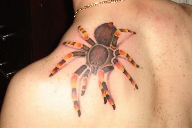 肩部令人印象深刻的3D丛林蜘蛛纹身图案