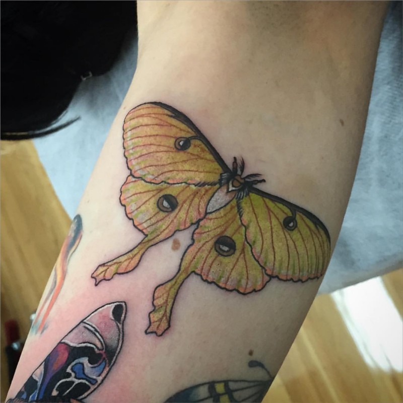 美丽的黄色蝴蝶手臂纹身图案