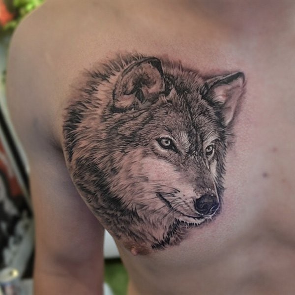 胸部令人难以置信的3D逼真狼纹身图案