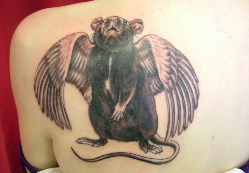 奇妙的黑白老鼠和翅膀背部纹身图案