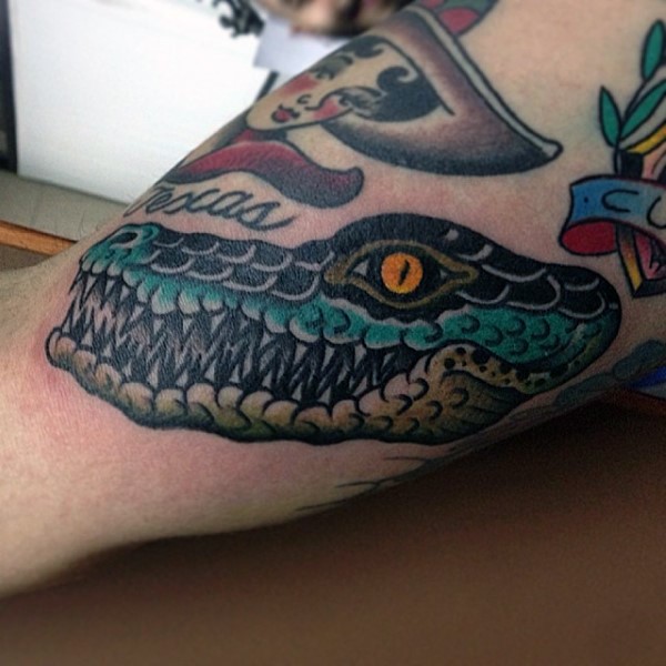 手臂old school彩色的小鳄鱼头部纹身图案