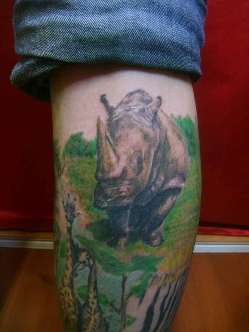 动物犀牛彩色小腿纹身图案