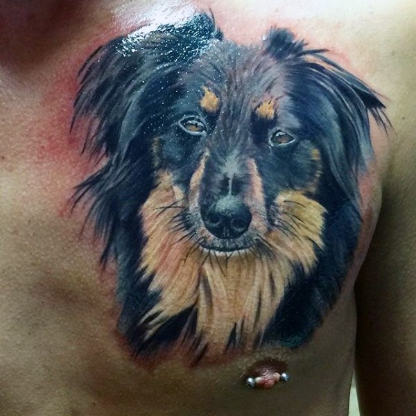 胸部3D逼真的自然彩色狗头像纹身图案