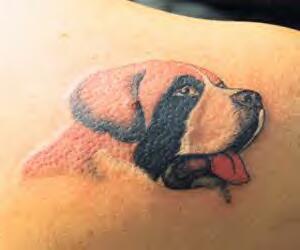 彩色的贝多芬狗头像纹身图案
