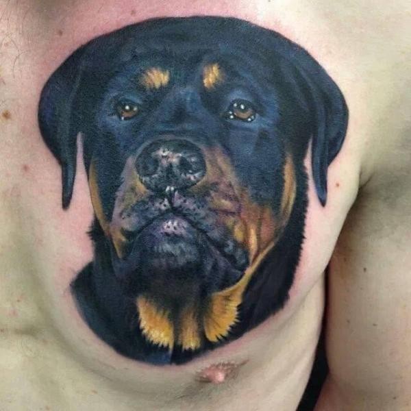 胸部彩色的丰富多彩罗威纳犬纹身图案