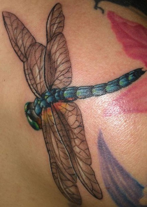 3D美丽的蜻蜓纹身图案