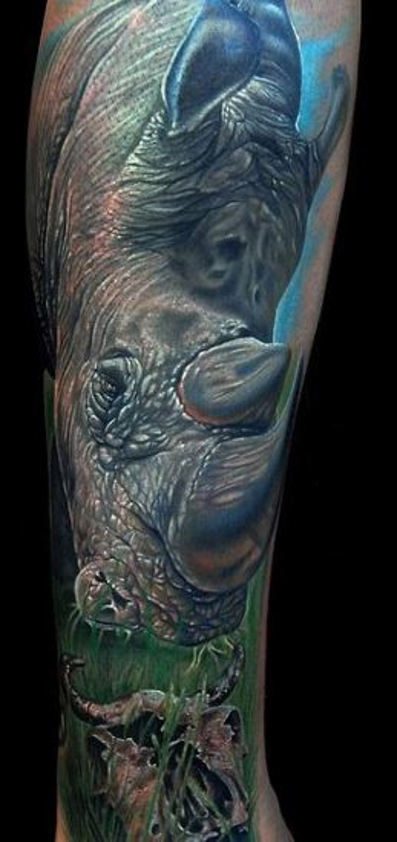 小腿巨大的3D彩色逼真野生犀牛纹身图案