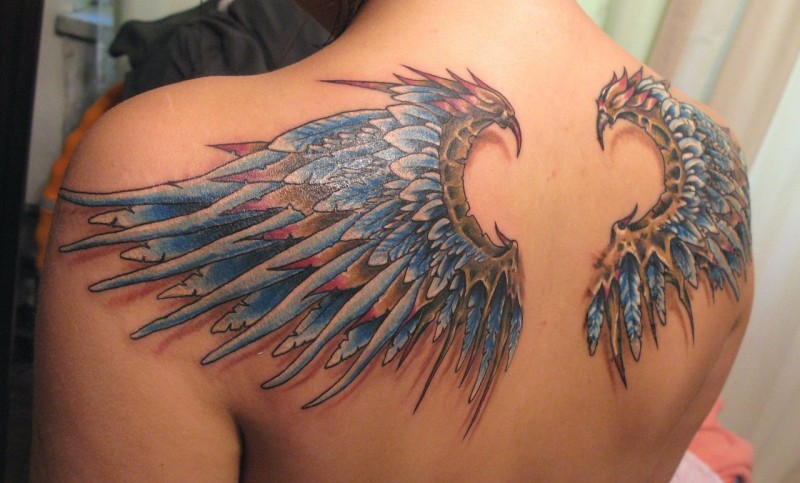 背部彩色3D逼真的羽毛翅膀纹身图案