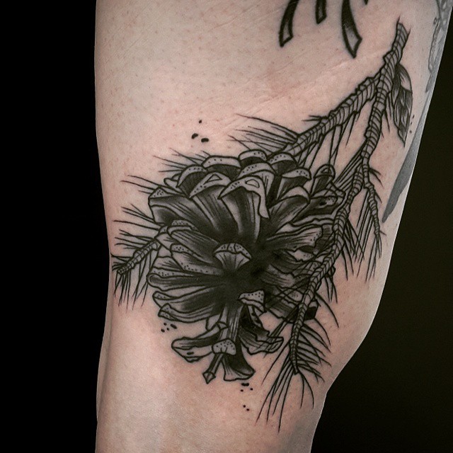 黑色点刺树枝松果手臂纹身图案