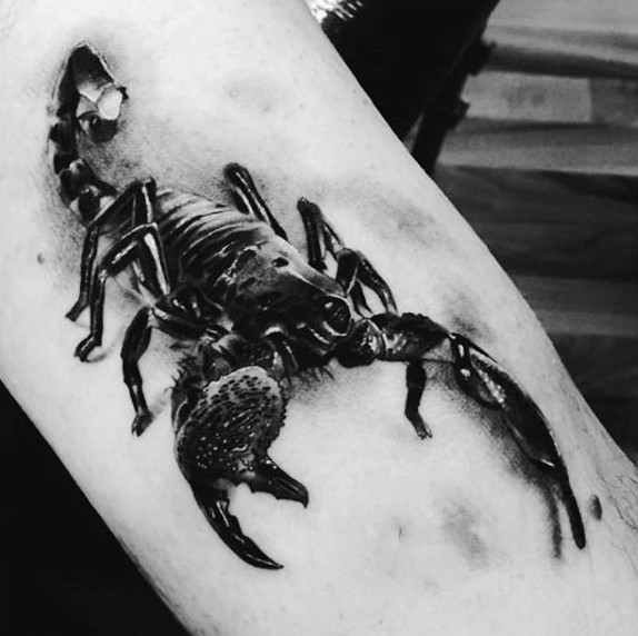 很棒的黑色逼真3D蝎子手臂纹身图案