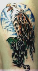 惊人的鹰与蛇风景彩色纹身图案