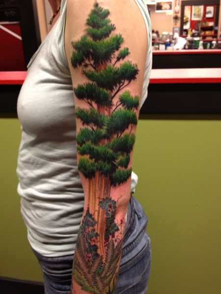 非常写实的彩色美洲大树手臂纹身图案