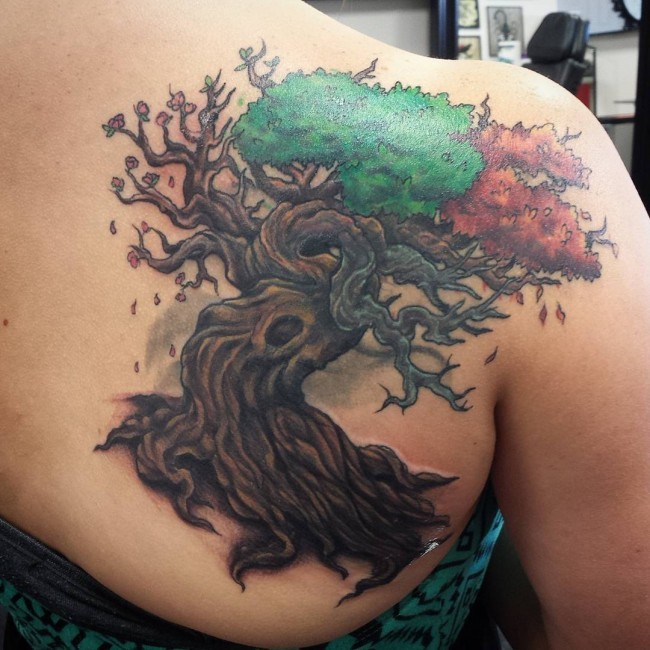 背部3D风格的天然彩色大树纹身图案