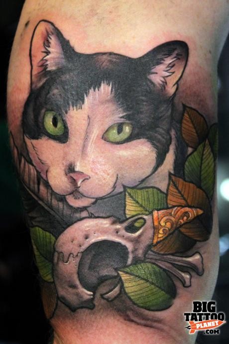 美丽的彩色猫与鸟头骨树叶手臂纹身图案