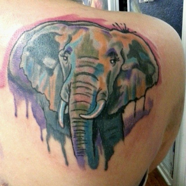 水彩画大象头部背部纹身图案