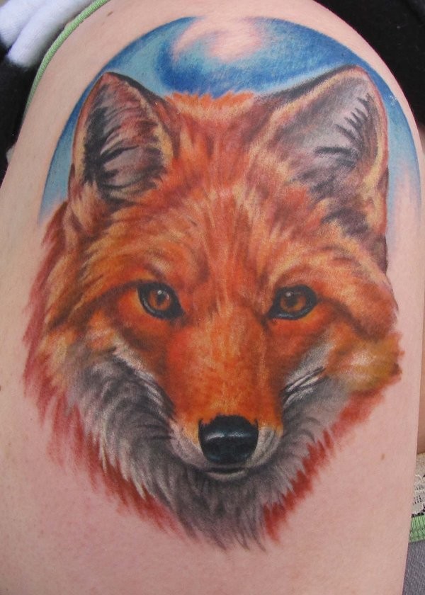 奇妙的红色狐狸头像纹身图案