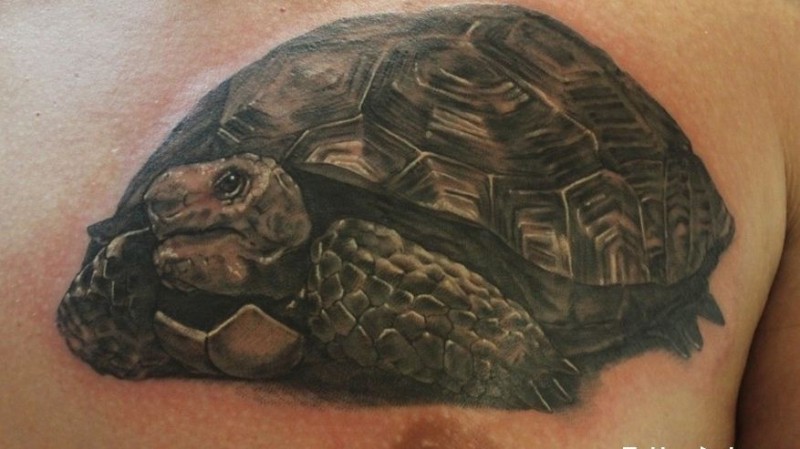 胸部逼真的可爱海龟纹身图案
