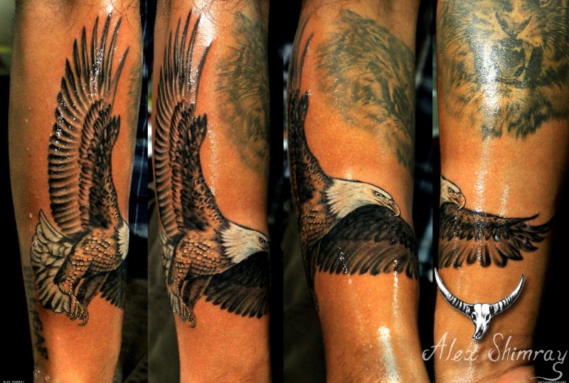 手臂传统色彩的鹰纹身图案