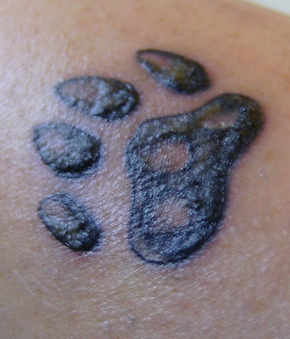 小动物的爪印黑白纹身图案
