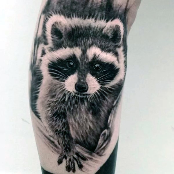 写实风格的可爱浣熊手臂纹身图案