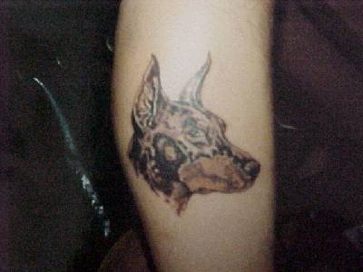 杜宾犬头像纹身图案