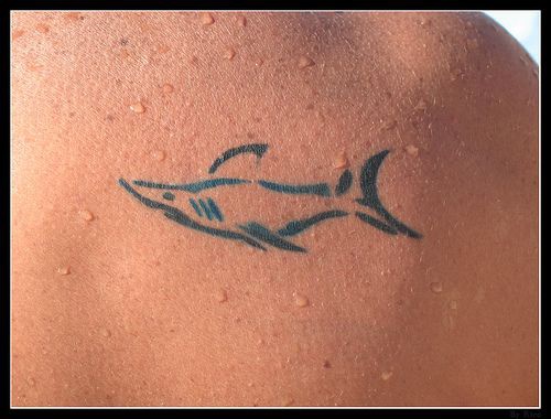 蓝色线条的小鲨鱼纹身图案