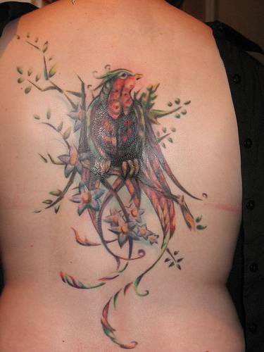 背部惊人的彩色小鸟艺术纹身图案