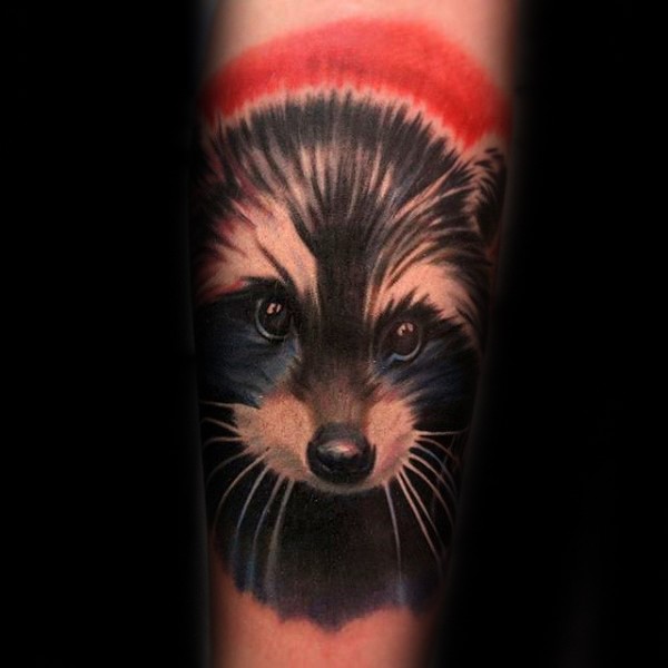 可爱漂亮的浣熊手臂纹身图案