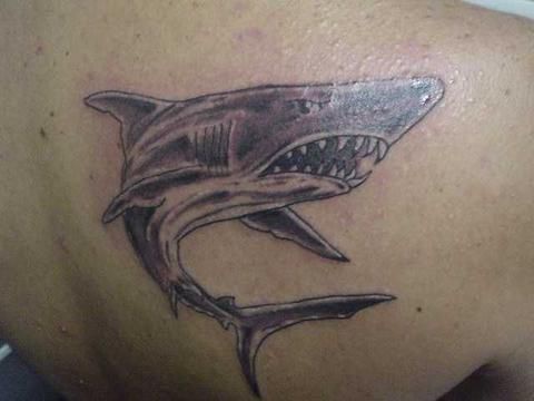 背部愤怒的鲨鱼纹身图案