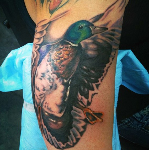 写实风格的彩色飞行野鸭手臂纹身图案