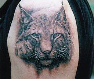 大臂3D手绘可爱的大野猫纹身图案