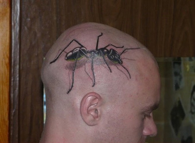 头部上的大蚂蚁黑色纹身图案