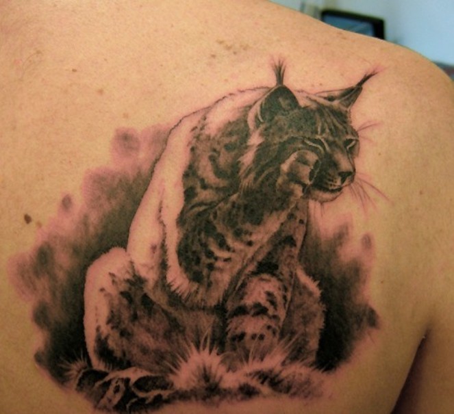 可爱的山猫背部纹身图案