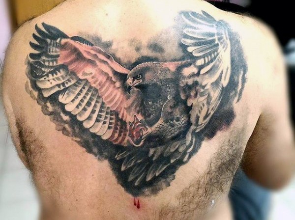 背部3D彩色的鹰纹身图案