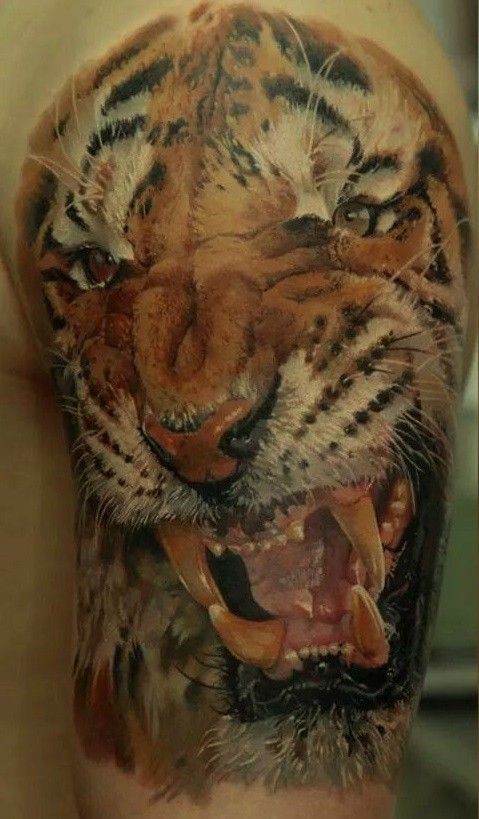 3D逼真的老虎头手臂纹身图案