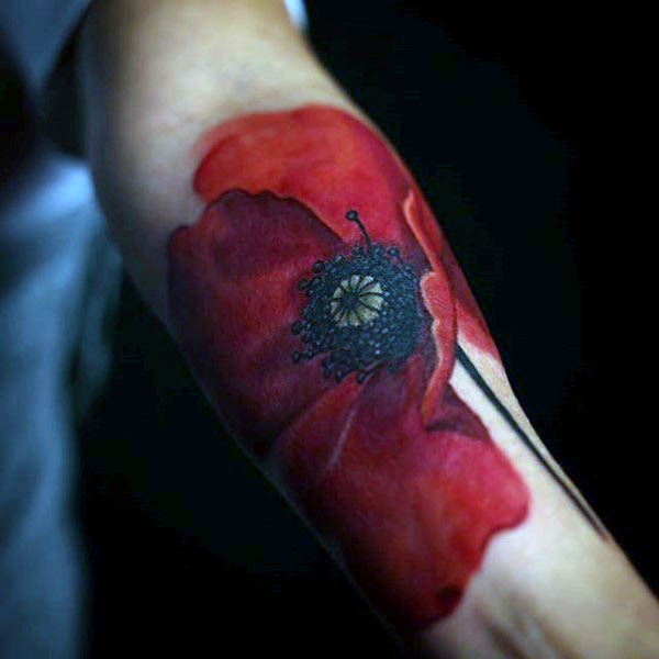 手臂3D逼真的自然彩色罂粟花纹身图案