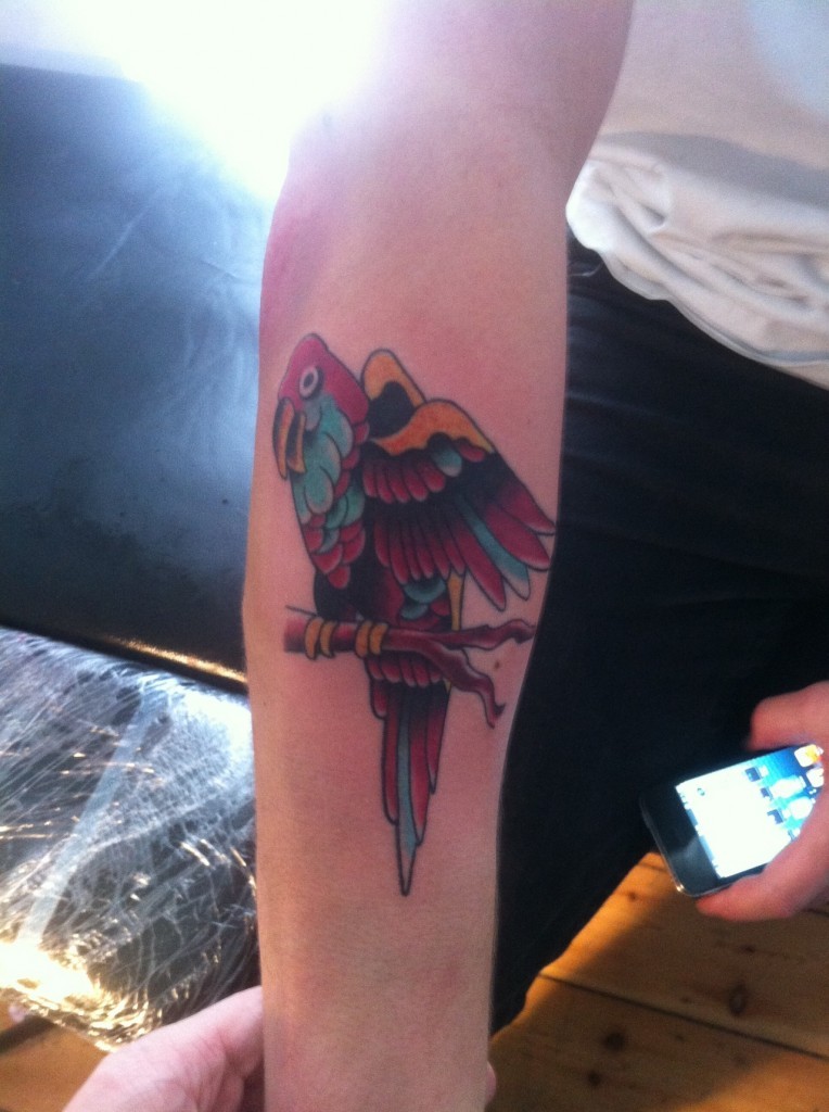 彩色鹦鹉小臂纹身图案