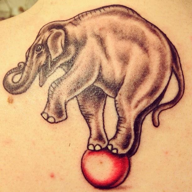 红色球上的马戏团大象背部纹身图案