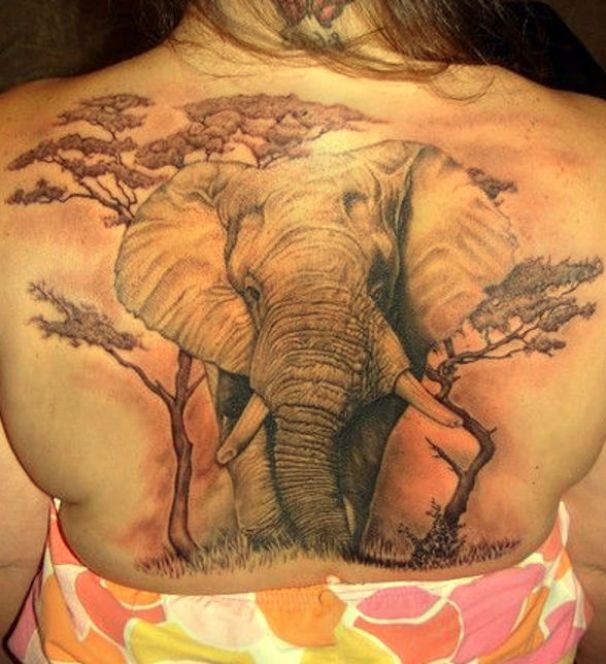 背部大象和大树纹身图案