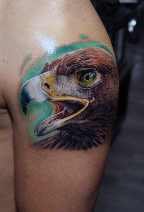 手臂逼真的3D传统彩色鹰头纹身图案