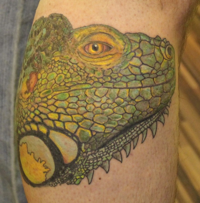 绿色的鬣蜥头写实纹身图案