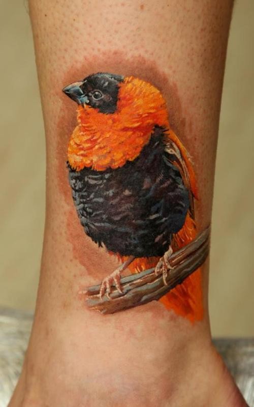 脚踝写实风格彩色的美丽小鸟纹身图案